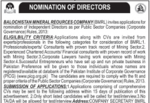 Jobs in Balochistan Mineral Resource Company 2021 For Directors in Quetta Balochistan