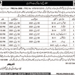 Jobs in Literacy & Non Formal Basic Education Department Walk In Tests & Interviews 2021