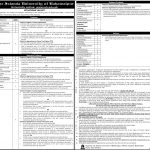 Jobs in Islamia University of Bahawalpur Faculty 2021
