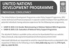 Jobs in UNDP Consultant 2021