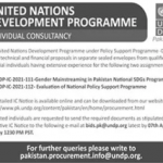 Jobs in UNDP Consultant 2021