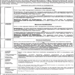 Jobs in University of Sindh Faculty Staff in Jamshoro 2021