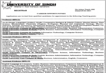 Jobs in University of Sindh Faculty Staff in Jamshoro 2021