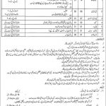 Jobs in Armed Forces Postgraduate Medical Institute in Rawalpindi 2021