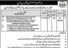 Jobs in Assistant Commissioner Office Jampur Patwari 2021