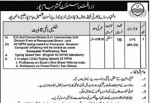 Jobs in Assistant Commissioner Office Jampur Patwari 2021