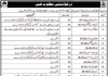 Jobs in Bolan Medical College in Quetta Balochistan 2021