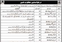 Jobs in Bolan Medical College in Quetta Balochistan 2021