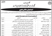Jobs in Culture Tourism Antiquities & Archives Department in Karachi via STS 2021