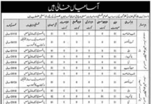 Jobs in District Education Authority DEA for Muzaffargarh 2021
