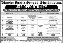 Jobs in District Public School in Sheikhupura 2021
