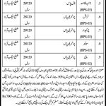 Jobs in District & Session Judge Office in Jacobabad via STS 2021