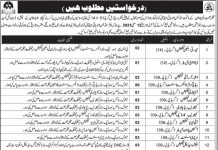 Jobs in Health Department in Quetta Balochistan 2021