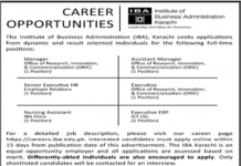 Jobs in Institute of Business Administration IBA in Karachi 2021