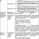 Jobs in Institute of Education And Research Faculty in Lahore 2021