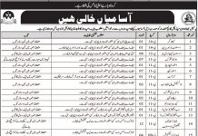 Jobs in Jhalawan Medical College Khuzdar via CTSP 2021