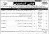 Jobs in Management in Punjab Institute of Language Art & Culture