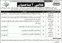 Jobs in Management in Punjab Institute of Language Art & Culture