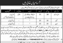 Jobs in Military Veterinary Hospital in Jhelum Cantt 2021
