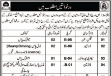 Jobs in Municipal Committee Office in Mastung Balochistan 2021