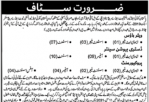 Jobs in Pakistan Kidney And Liver Institute And Research Centre PKLI&RC 2021