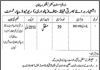 Jobs in Patwari in Revenue Department