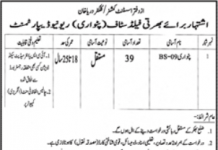 Jobs in Patwari in Revenue Department