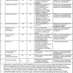 Jobs in Project Management And Implementation Unit PMIU in Peshawar KPK 2021