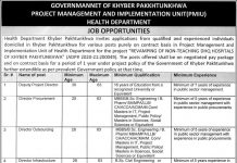 Jobs in Project Management And Implementation Unit PMIU in Peshawar KPK 2021