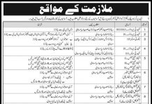 Jobs in Public Sector Organization For Management Staff 2021