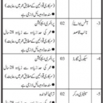 Jobs in Public Sector Organization in Karachi 2021