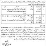 Jobs in Public Sector Organization in Peshawar KPK 2021