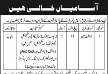 Jobs in Public Sector Organization in Rawalpindi 2021
