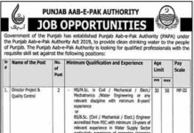 Jobs in Punjab Aab-e-Pak Authority PAPA Lahore 2021