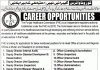 Jobs in Punjab Health Commission PHC For Management Staff 2021