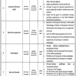 Jobs in Punjab Human Organ Transplantation Authority Lahore 2021