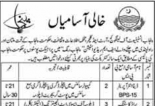 Jobs in Punjab Institute of Language Art & Culture Lahore 2021
