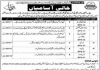 Jobs in Punjab Institute of Language Art & Culture Technical Staff 2021