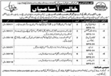 Jobs in Punjab Institute of Language Art & Culture Technical Staff 2021