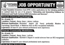 Jobs in Punjab Population Innovation Fund PPIF For Management Staff 2021
