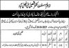 Jobs in Revenue Department For Patwari in Faisalabad 2021