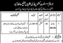 Jobs in Revenue Department For Patwari in Hafizabad 2021