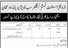Jobs in Revenue Department For Patwari in Jhelum 2021