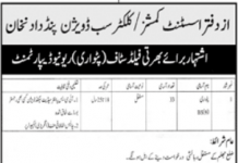 Jobs in Revenue Department For Patwari in Jhelum 2021