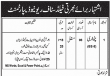 Jobs in Revenue Department For Patwari in Sarai Alamgir 2021
