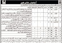 Jobs in Revenue Department in Naseerabad Division 2021