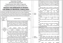 Jobs in School Education Department in Lahore 2021
