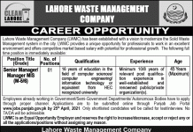 Jobs in Senior Manager & Manager MIS in Lahore 2021