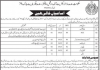 Jobs in Social Welfare Department in Karachi 2021