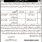 Jobs in Social Welfare & Special Education Department in Quetta Balochistan 2021